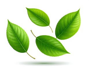 Fresh Green Leaves Floating in Air.