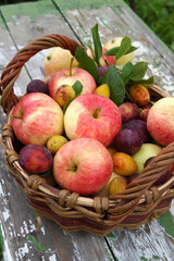 Fresh autumn fruit harvest in rustic wicker basket