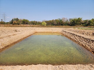 The reserve water source in the farmer's farm.
