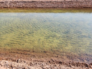 The reserve water source in the farmer's farm.