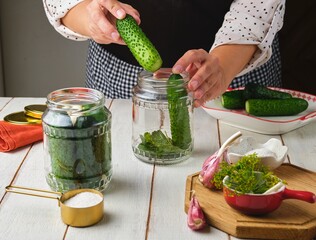 Step-by-step preparation of pickled cucumbers against a light concrete background. Fermented foods.