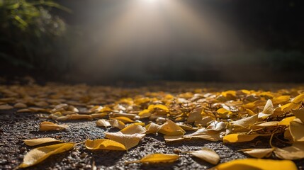 vegetation. Autumn garden bathed in warm sunlight with scattered golden leaves and peaceful ambiance.