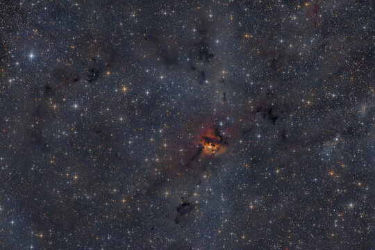 Sh2-187 stellar nursery nebula and star field in Cassiopeia region