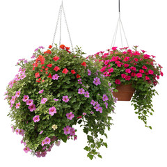 Hanging flower bushes isolated on transparent background  
