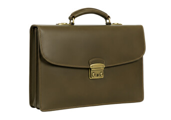 Isolated Leather Business Briefcase, Official Brown Portfolio, Vintage Fashion Accessory