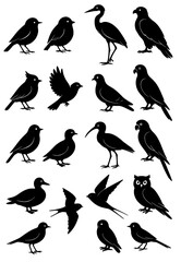 Obraz premium Bird icon set, silhouette version