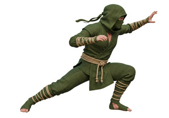 Isolated ninja warrior ready for combat, in fighting pose, wearing traditional green clothing