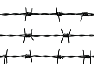 Dark, close-up view of three parallel strands of barbed wire