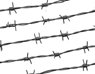 Close-up view of several parallel strands of barbed wire against a black background