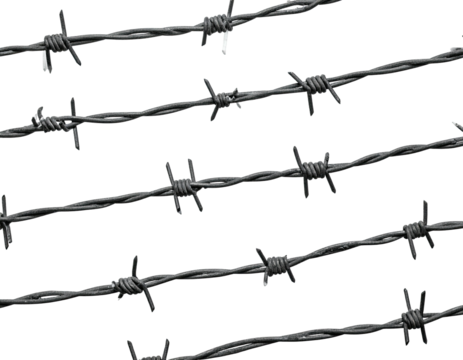 Close-up view of several parallel strands of barbed wire against a black background