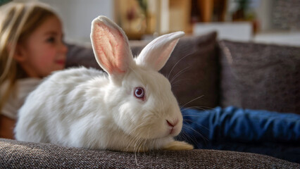 Soft white rabbit resting on a couch while a child relaxes nearby in a cozy home setting