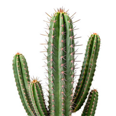 Naklejka premium Red and gold Moroccan arch isolated on transparent background 