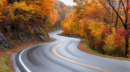 Naklejka premium Autumn Drive: A winding road carves through a forest bursting with vibrant autumn colors, offering a scenic drive immersed in the beauty of nature.