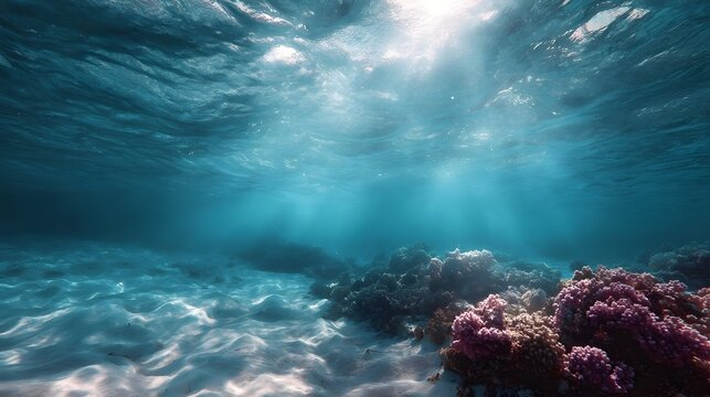 Underwater coral reef illuminated by sunbeams filtering through clear ocean water