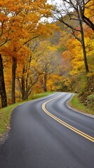 Winding Road Through Autumn's Embrace: A scenic, winding road carves through a vibrant forest, adorned with trees ablaze in autumn hues of gold and russet, creating a visual symphony of the season.