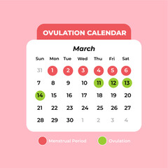 Ovulation calendar showing menstrual cycle and fertile window for women, flat art design style.
