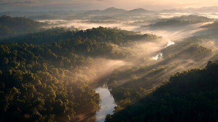 Fototapeta premium Early morning forest with floating fog warm sunlight filtering through canopy distant hills smooth river no animals no humans