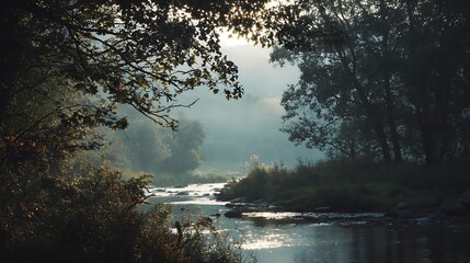 Early sunlight in foggy forest soft light filtering through branches distant gentle hills river running smoothly no animals no people