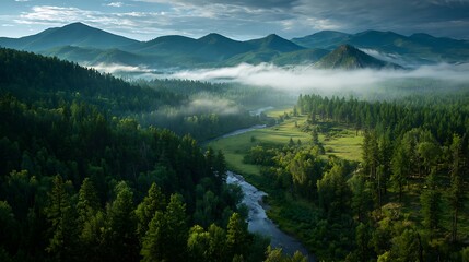 Forest dawn with fog hanging low sunlight piercing canopy distant green mountains winding river no humans no animals quiet