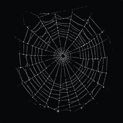Fototapeta premium A stark web with dew, detailed white lines on a black backdrop