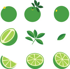 Fresh Green Limes Whole, Sliced, and Leafy Illustrations