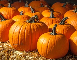 Pumpkins on Straw, Autumn Harvest.