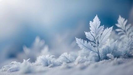 Frozen winter leaves covered with frost crystals in soft blue light, macro close up of icy nature background, cold season minimal wallpaper for elegant design and photography
