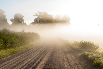 foggy morning in the field