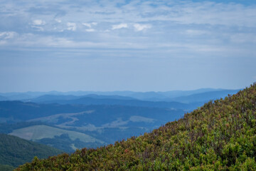 Summer Mountain View in Borzhava Valley, Carpathians