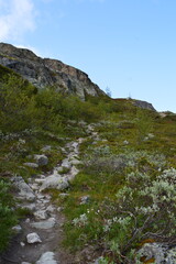 Hiking trail to Røggjin, Hemsedal, Norway