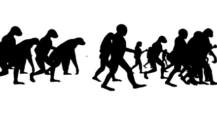ewolucja, człowiek, sylwetka, dna © Marek
