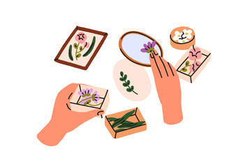 Flower drying for herbarium, nature craft. Hands collecting dried floral plants, leaves into boxes. Creative botanical art, decoration. Flat vector illustration isolated on white background.