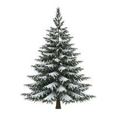 Snow covered conifer tree isolated on transparent background
