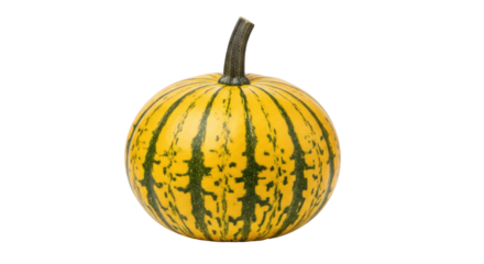 Isolated yellow and green ornamental pumpkin or gourd for decoration, autumn harvest