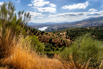 Embalse del Charco del Cura