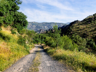 Camino de la presa de La Parra