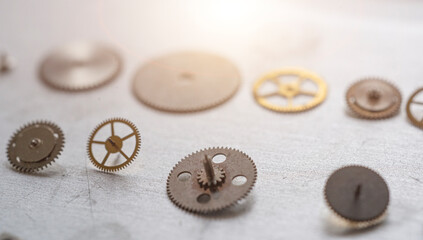 Adjusting a Classic Watch. Watchmaker's workshop