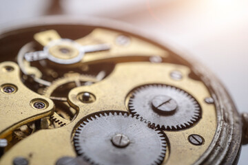 Adjusting a Classic Watch. Watchmaker's workshop