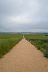 길거리 경관 네이처 들판 구름