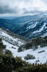 WINTER SEASON