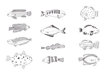 魚の手描きイラストセット