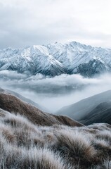 WINTER SEASON