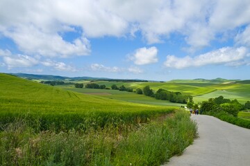 길거리 경관 네이처 들판 구름