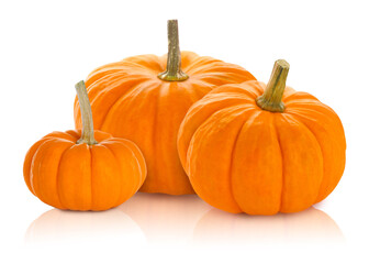 Obraz premium Three fresh orange pumpkins isolated on white