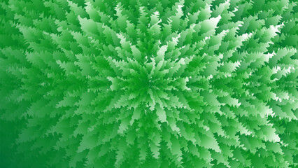 Abstract radial pattern of vibrant green foliage viewed from directly above in a close up shot