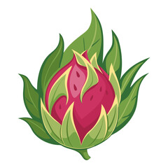 Dragon fruit icon. Pitaya fruit with leaves. Tropical fruit illustration.