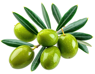 Close-up of fresh, vibrant green olives and leaves