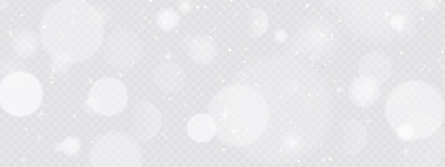 Realistic snow fallen on transparent background. Abstract dust particles, white confetti winter png bg. Christmas wallpaper poster elements, flyer, new year card, realistic vector snow powder.