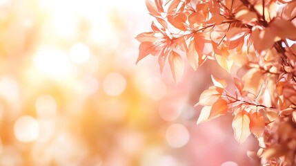 Delicate, peach-toned leaves softly outlined against a blurred, golden background suggest a tranquil, natural scene.