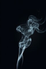 Obraz premium Ethereal smoke forms the silhouette of a graceful figure against a dark background, creating a captivating and artistic visual effect.